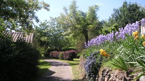 A garden pathway with a stone wall on one side and a variety of plants and flowers.