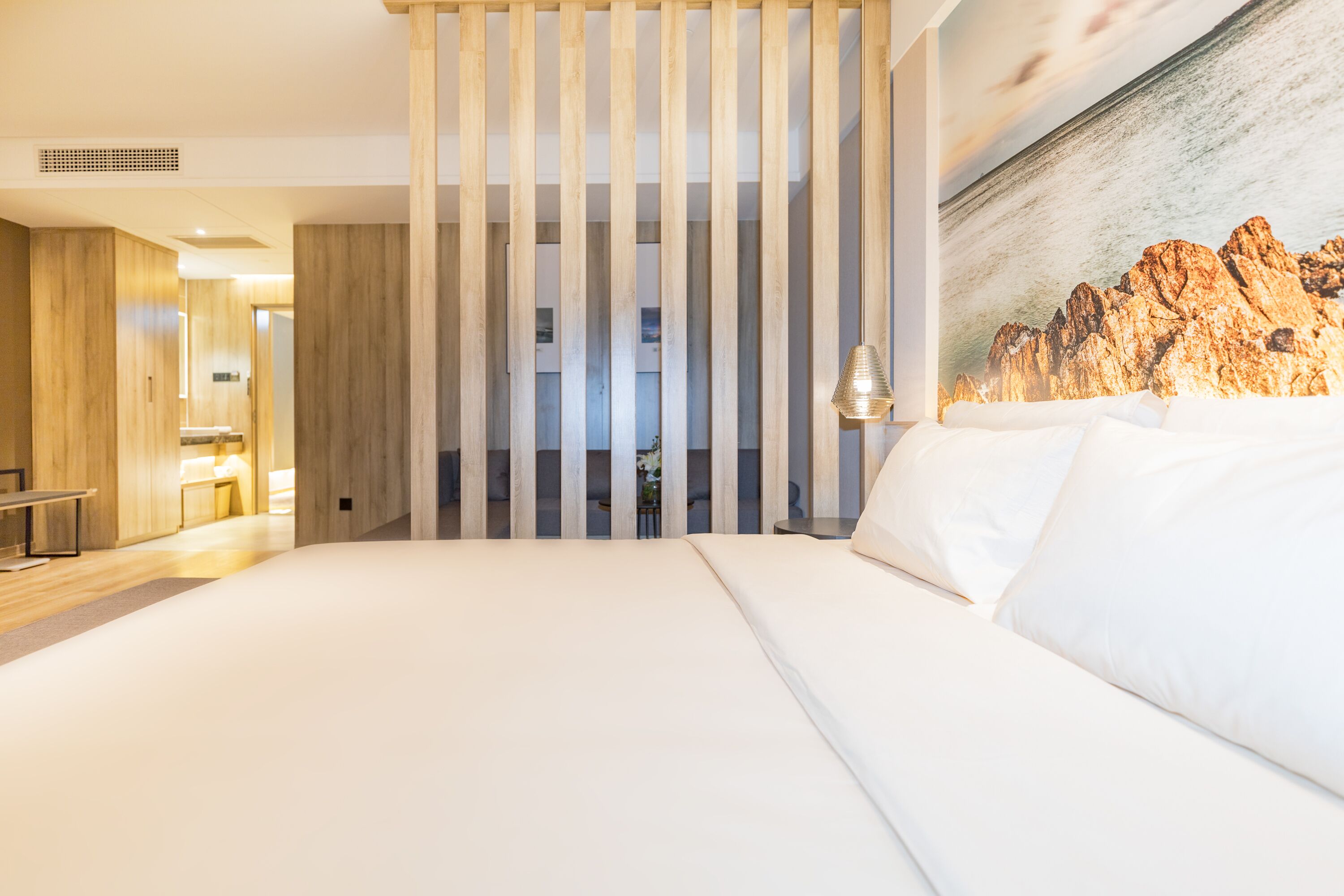 deluxe suite | free wifi