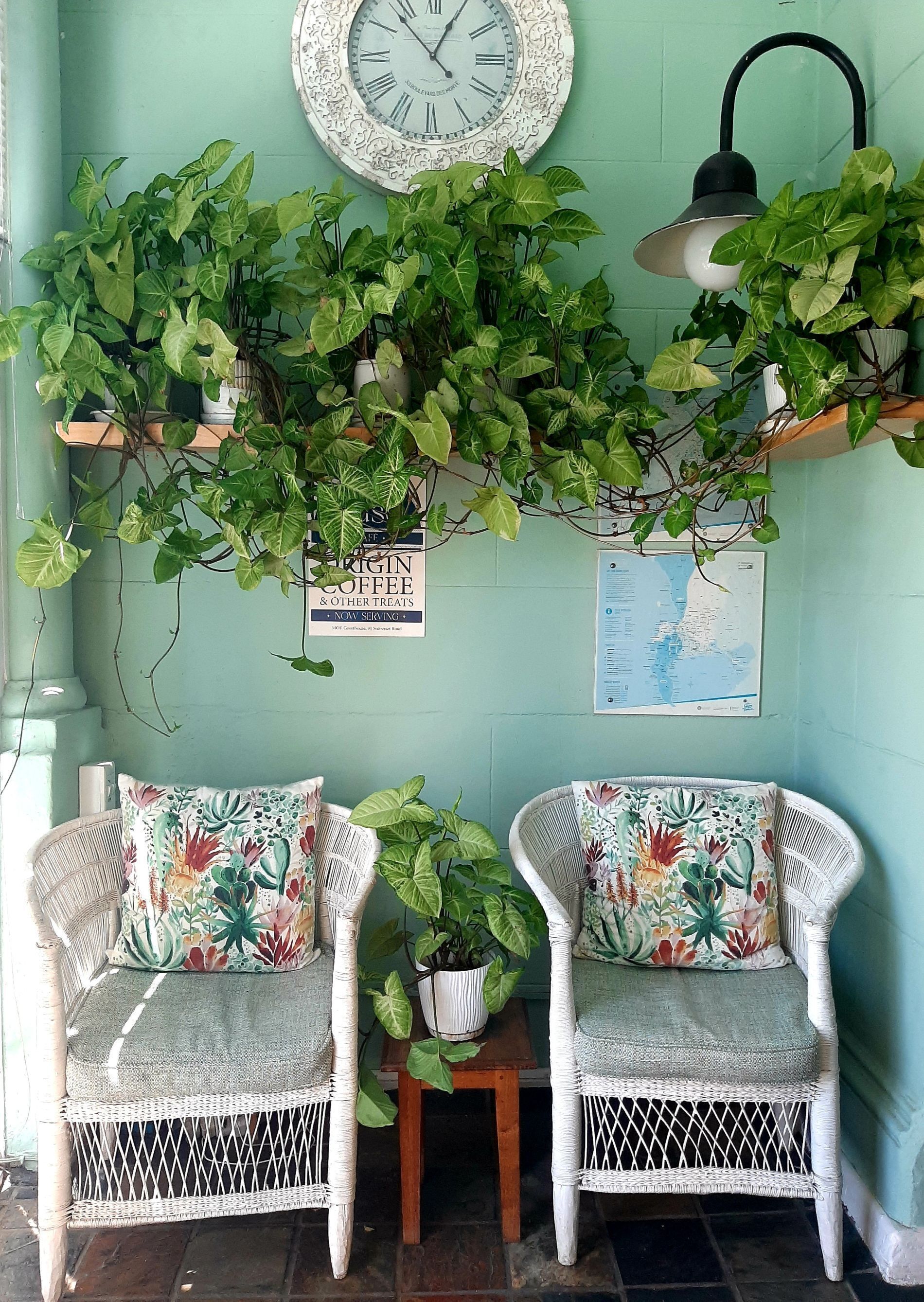 Photo - The Greenhouse Guesthouse