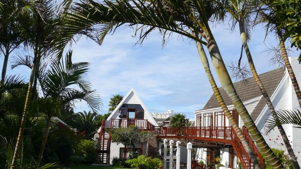 A pool surrounded by palm trees and a white building with a red deck. - Aberdour Guesthouse (Gqeberha (Port Elizabeth))