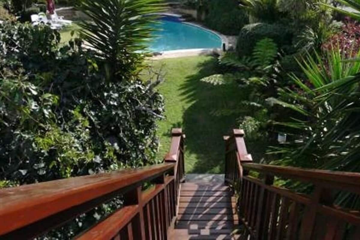 Un escalier en bois mène à une piscine entourée d’une végétation luxuriante.