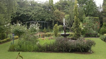 Un jardín exuberante con una fuente central, rodeado de diversas plantas y una pérgola.