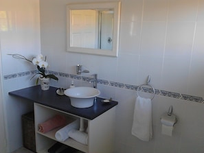 Standard Double Room, Non Smoking | Bathroom | Shower, rainfall showerhead, free toiletries, hair dryer