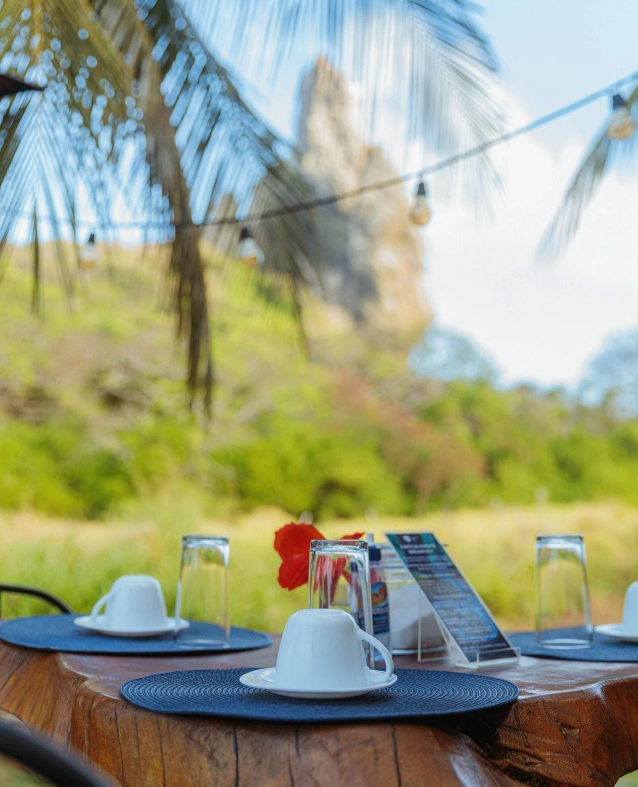 A wooden table with a menu, white cups, and glasses, set outdoors with a blurred natural background.