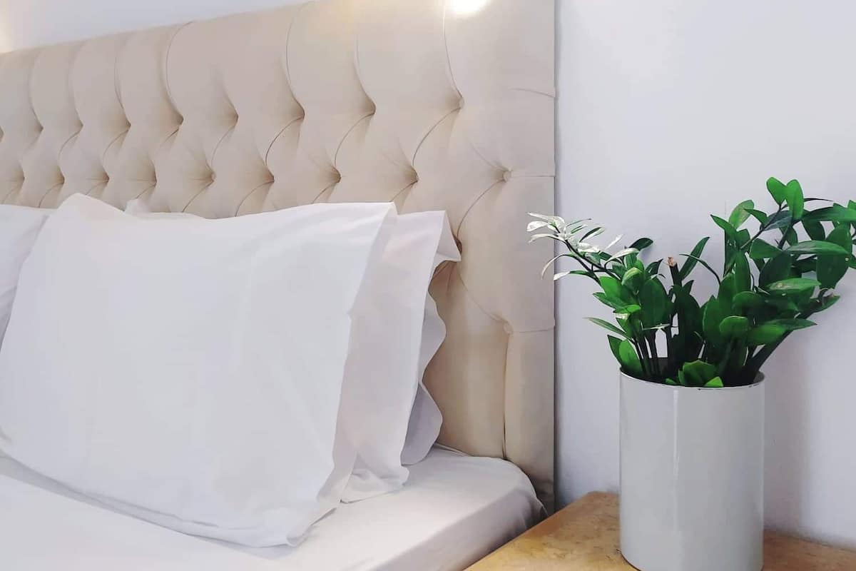 A bed with a tufted headboard, a bedside lamp, a white pillow, and a potted plant on a bedside table.