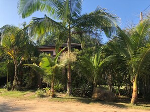 Área da propriedade