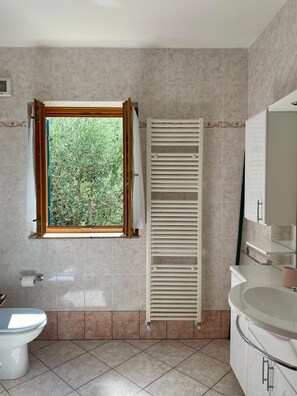 Dusche, Haartrockner, Bidet, Handtücher