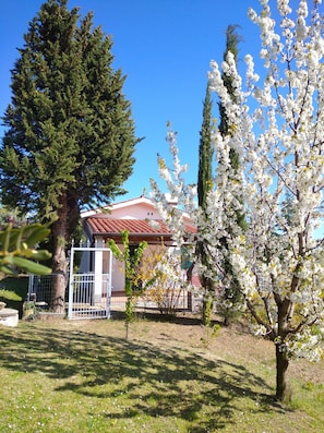 A residential area with a house, a large evergreen tree, and a flowering tree. - Detached Villa with wonderful gulf view. Single villa surrounded by greenery. (Ankaran - Ancarano)