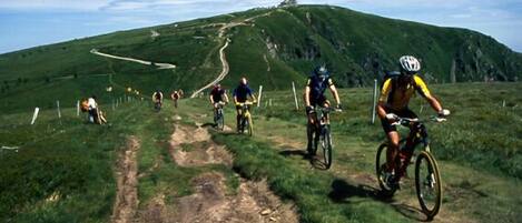 A group of cyclists on a mountain trail with a clear sky.