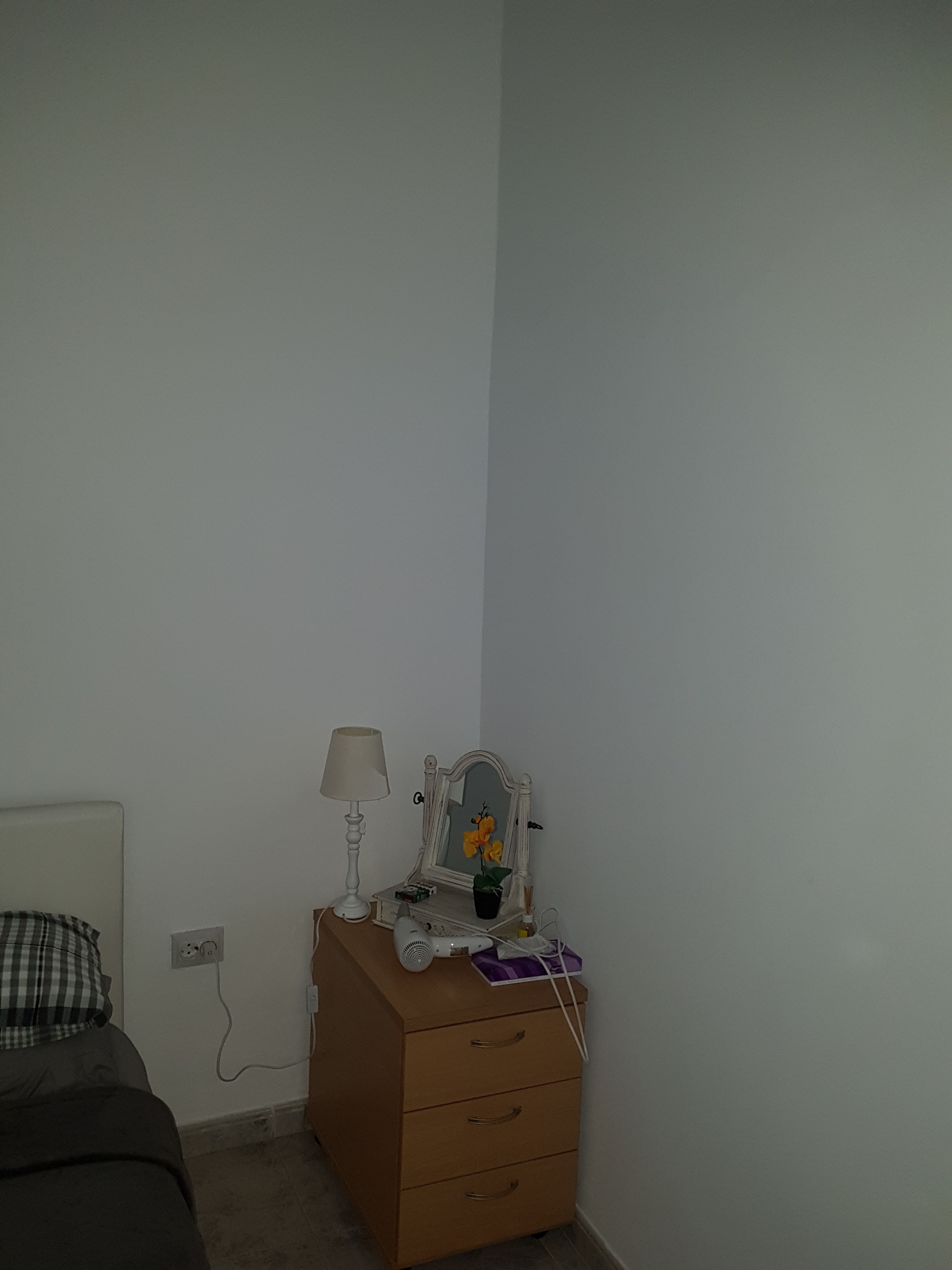A bedroom with a dresser, a lamp, a mirror, and a small plant.
