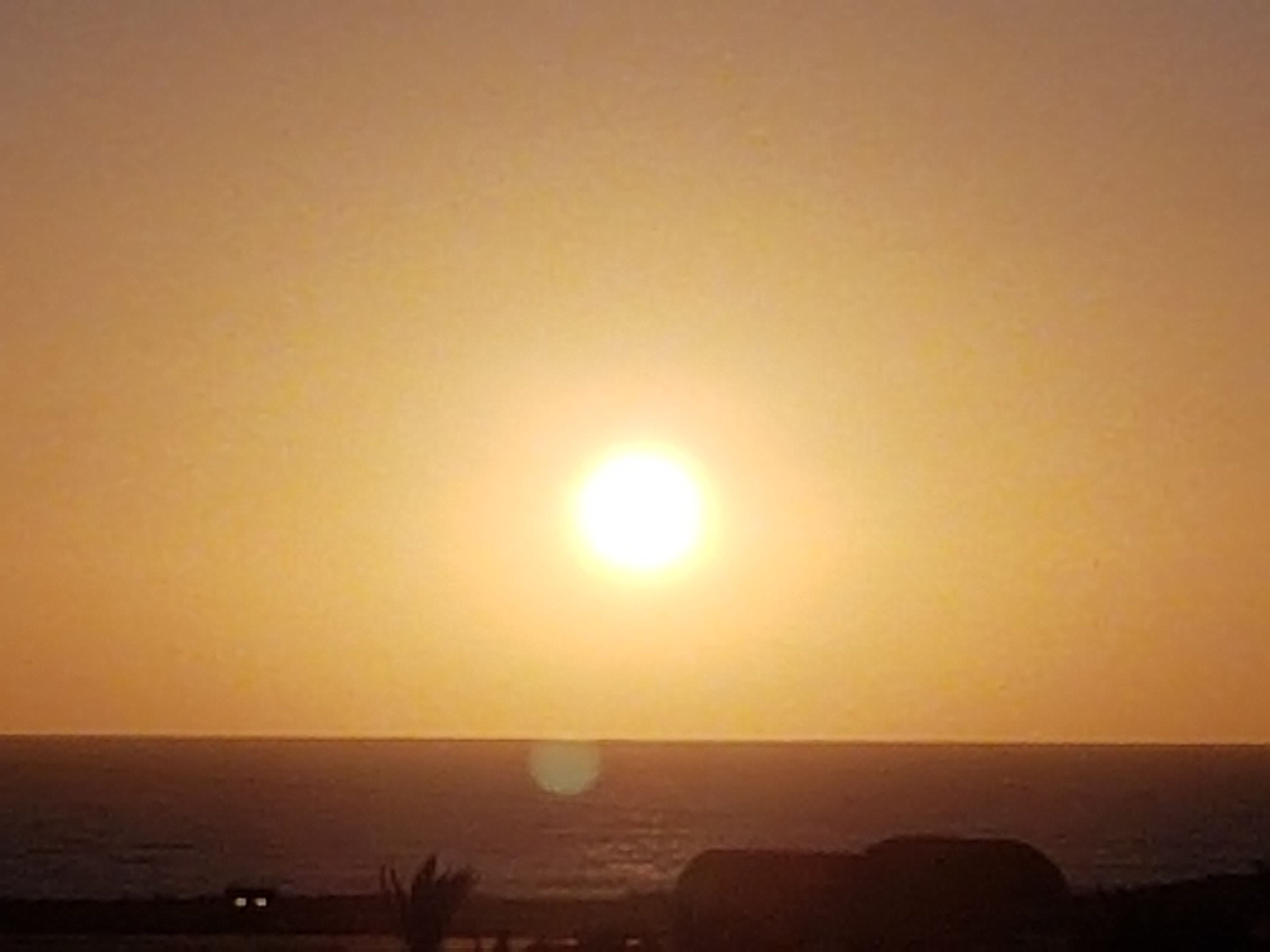 Un coucher de soleil sur l’océan, avec la silhouette d’un palmier et d’un bâtiment au premier plan.