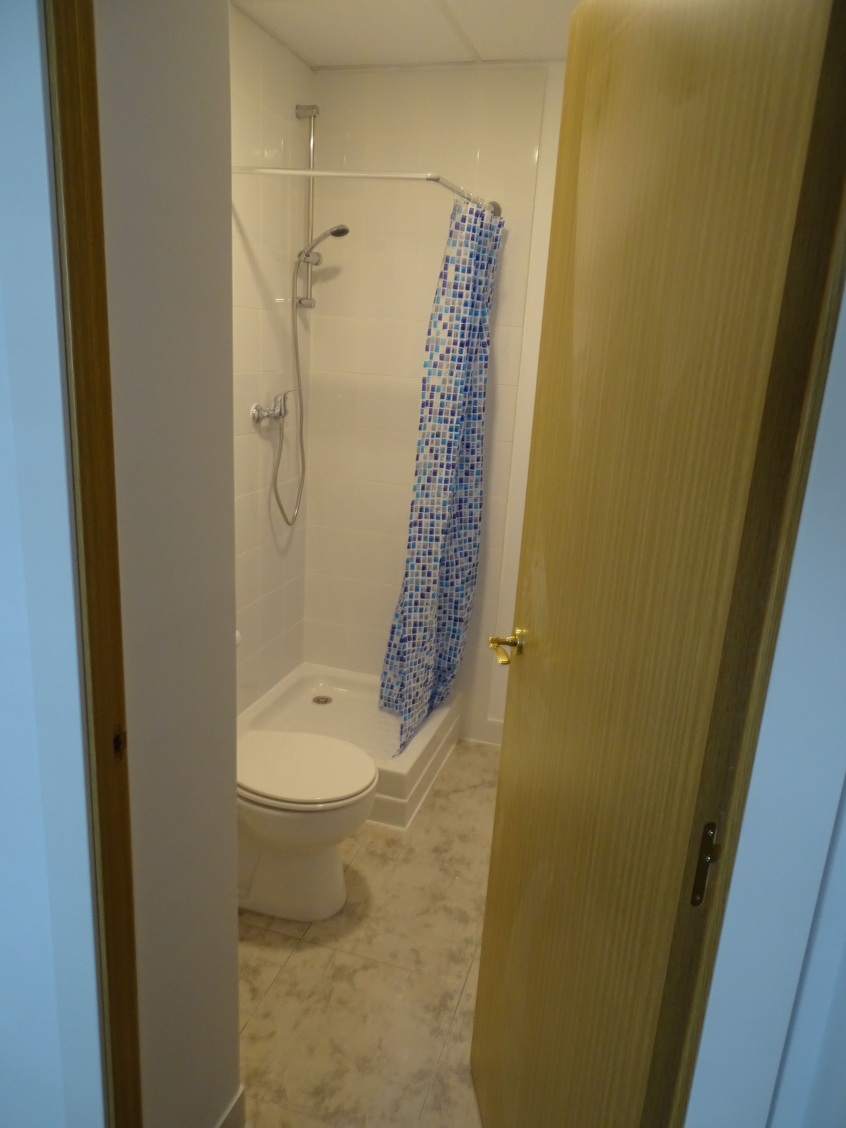 Une salle de bain avec douche, toilettes et une porte donnant sur une autre pièce.