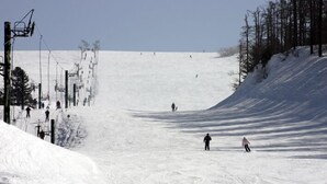 Een skipiste met skiërs, een skilift en een bebost gebied.