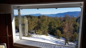View from room - Bambulodge (Pucón)