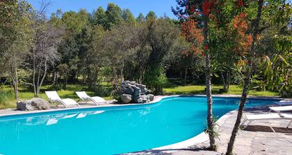 Bambulodge