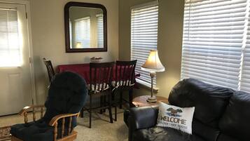 TV connectée, cheminée, lecteur de DVD, livres