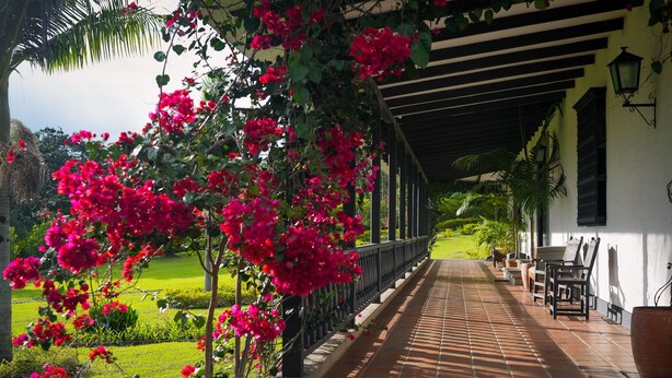 A covered outdoor area with a tiled floor, a row of chairs, and a garden with pink flowers. - Hotel Hacienda Supracafe (Cajibío)
