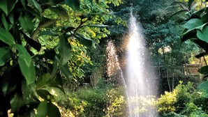 A garden with a water feature, surrounded by lush greenery and a stone pathway. - Villa Musolino Country Resort (Messina)