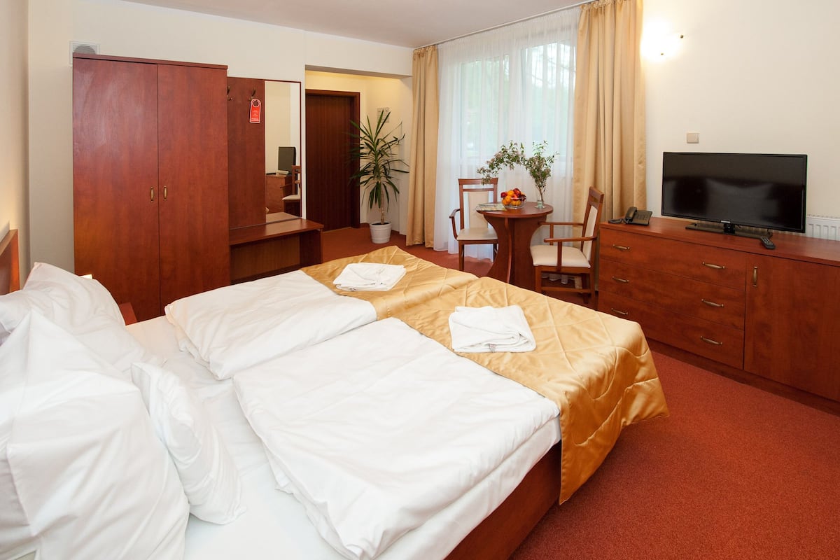 Een hotelkamer met een bed, een bureau met stoel, een televisie en een kledingkast.