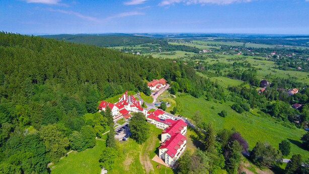 Vista aérea de una zona residencial con varias casas, rodeada de un bosque frondoso y campos abiertos.
