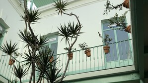 Un edificio con balcón, plantas en macetas y un letrero de neón.