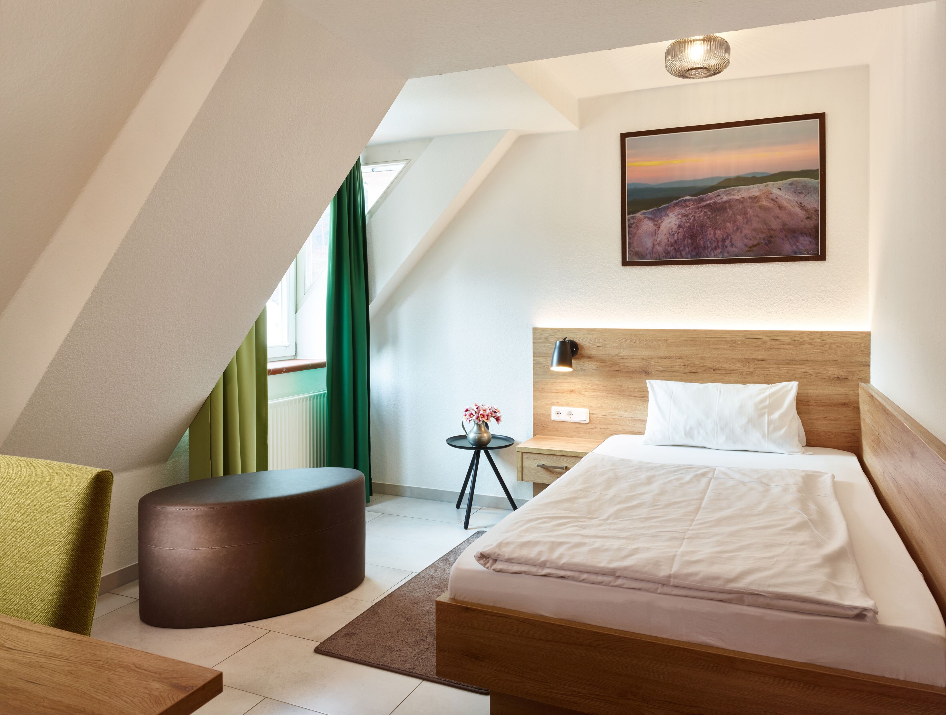 single room | 1 bedroom, minibar, desk, iron/ironing board