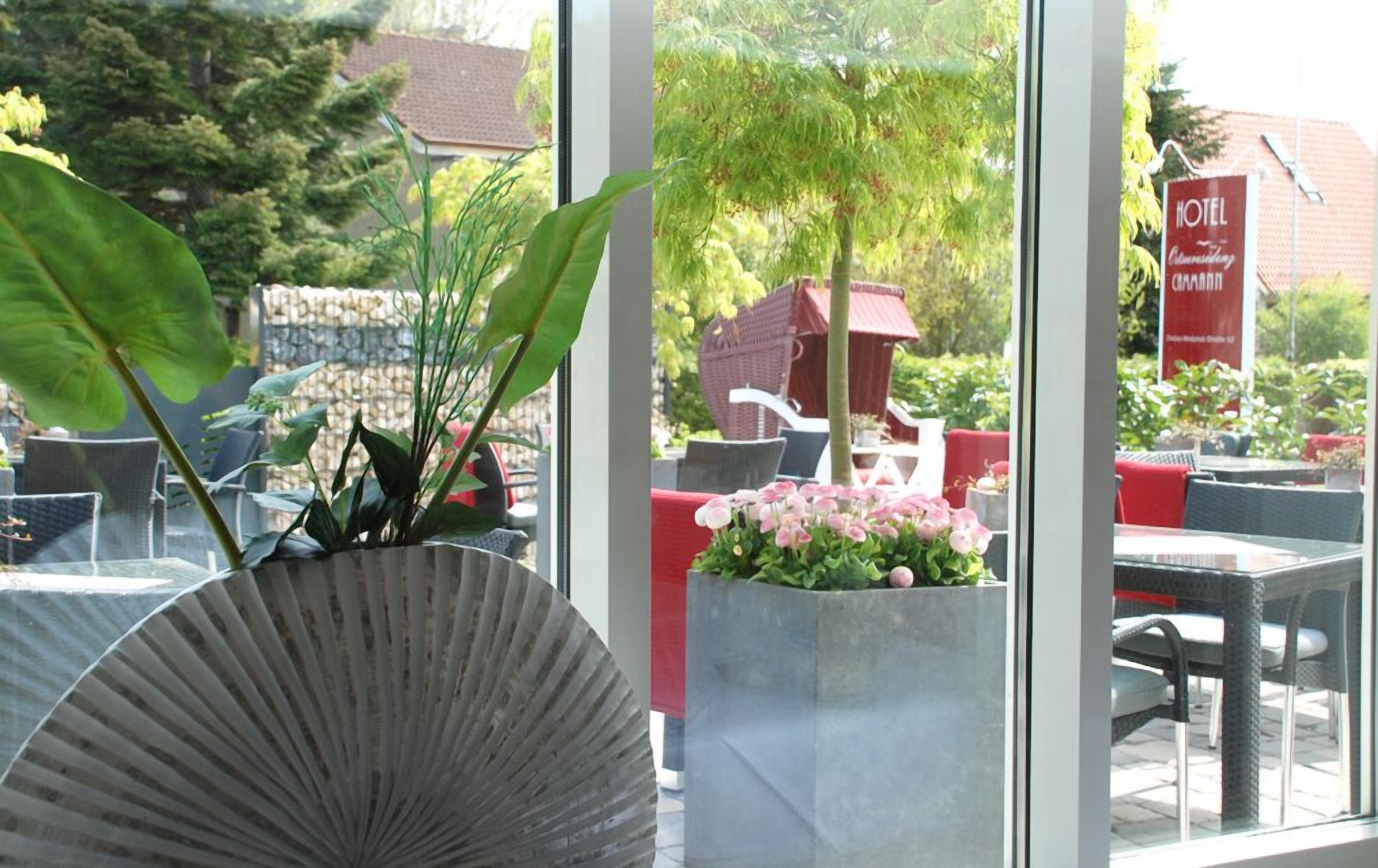 Quang cảnh nhìn từ nơi lưu trú