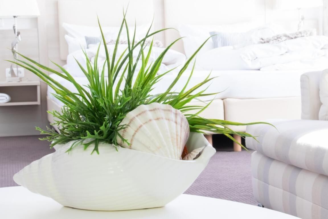 40-inch flat-screen tv with satellite channels, tv