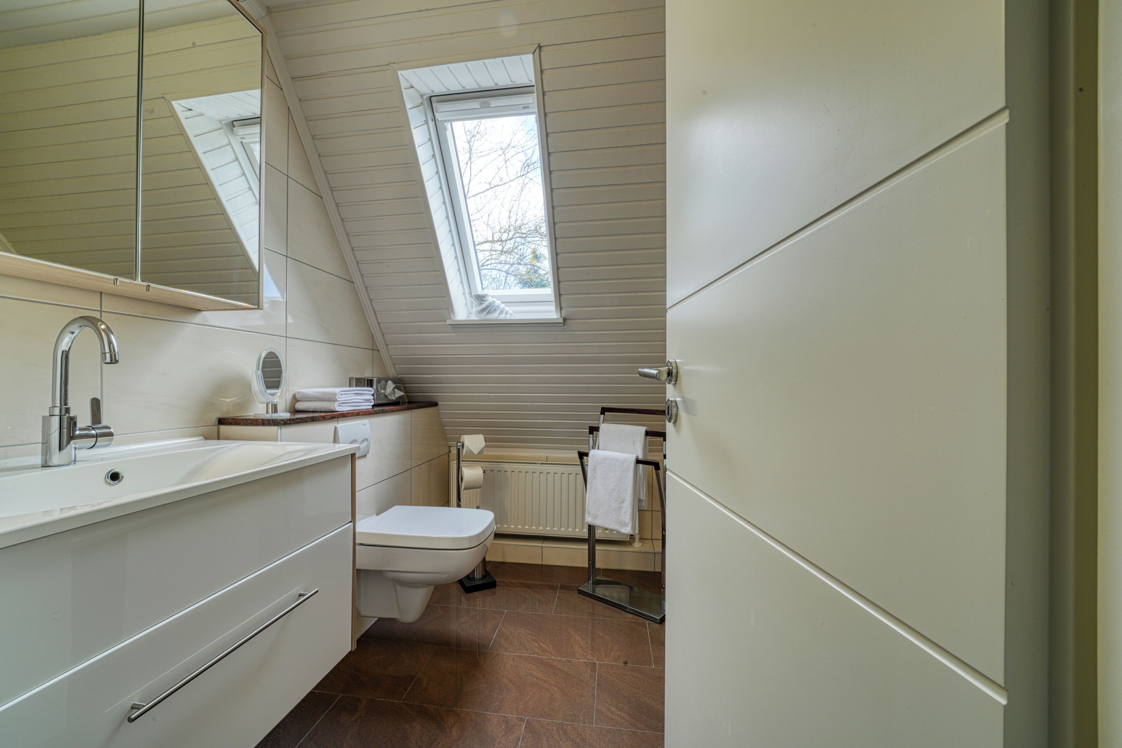 A modern bathroom with a skylight, a toilet, a sink, and a mirror.
