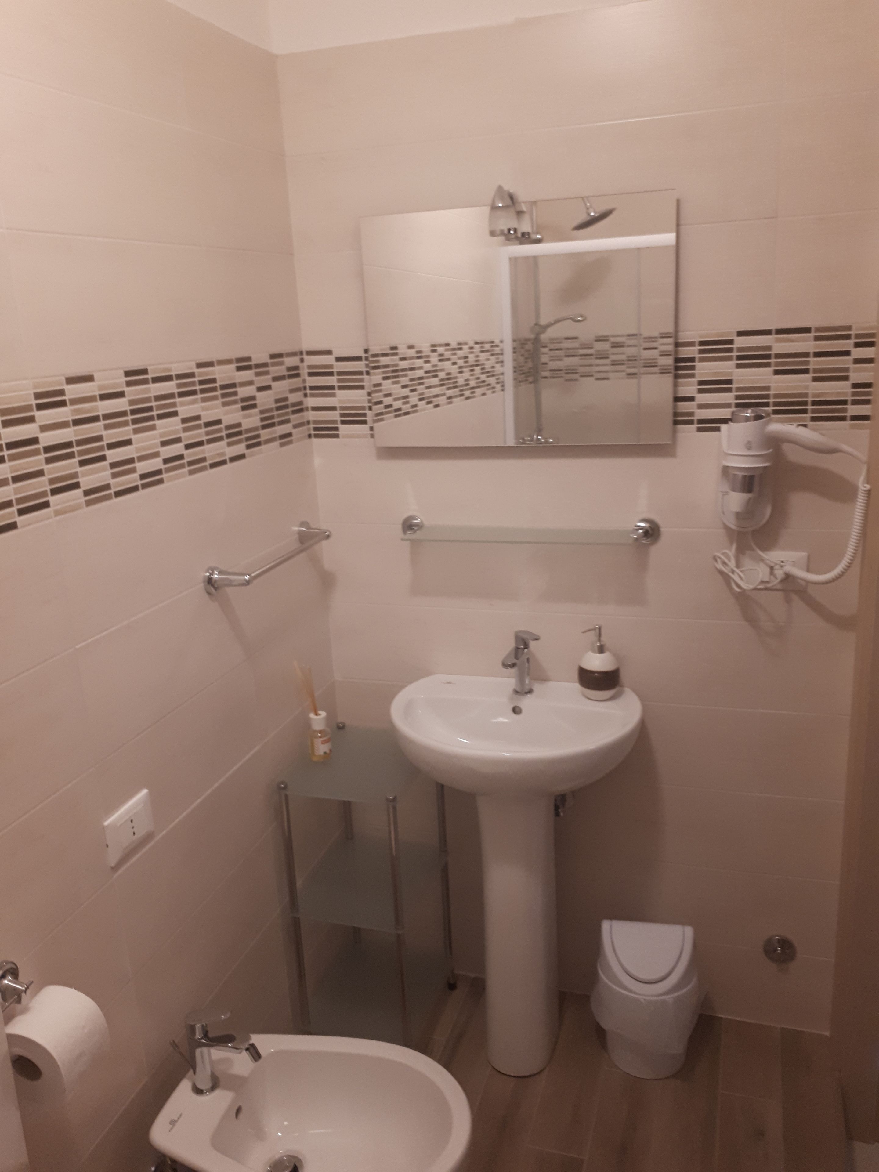 Baño con lavamanos, espejo, toallero, inodoro y secador de pelo.