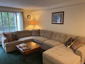 Een smart-tv, een open haard, een dvd-speler en boeken