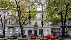 Uklassifisert bilde, 5 av 19, knapp