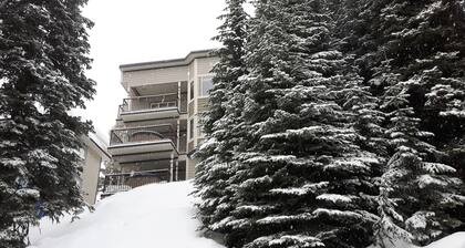 Cozy private suite. Backs onto ski way, close to village & private hot tub