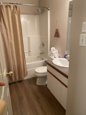 Combined shower/bathtub, hair dryer, towels, soap