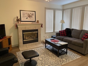 TV, fireplace