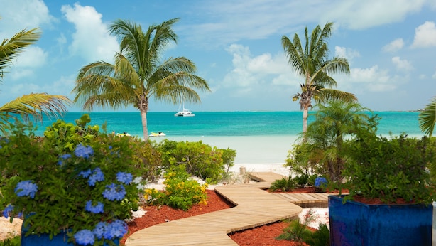A wooden pathway leading to a beach with palm trees and a boat in the water. - Coconut Beach Villa! BEACHFRONT Sapodilla! Private Pool! Luxury Family Friendly! (Providenciales)