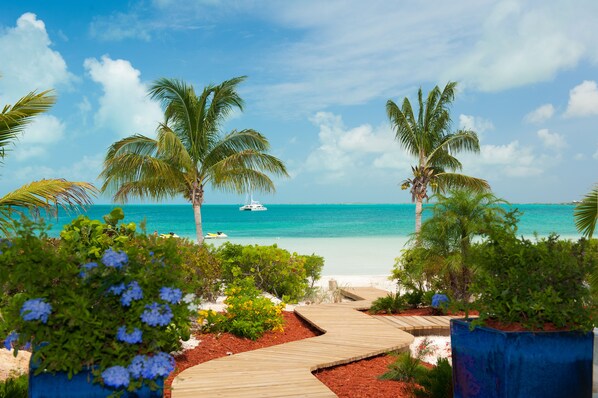Plage, chaises longues, serviettes de plage