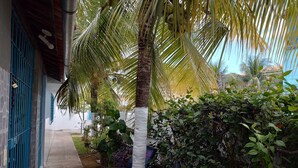 A narrow pathway flanked by palm trees and a white wall with blue window bars. - Casa em Porto de Galinhas. 450m aproximado da praia. Piscina com apoio coberto (Porto de Galinhas)