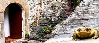 Casa rural  (alquiler íntegro) El Moli del Montseny para 7 personas