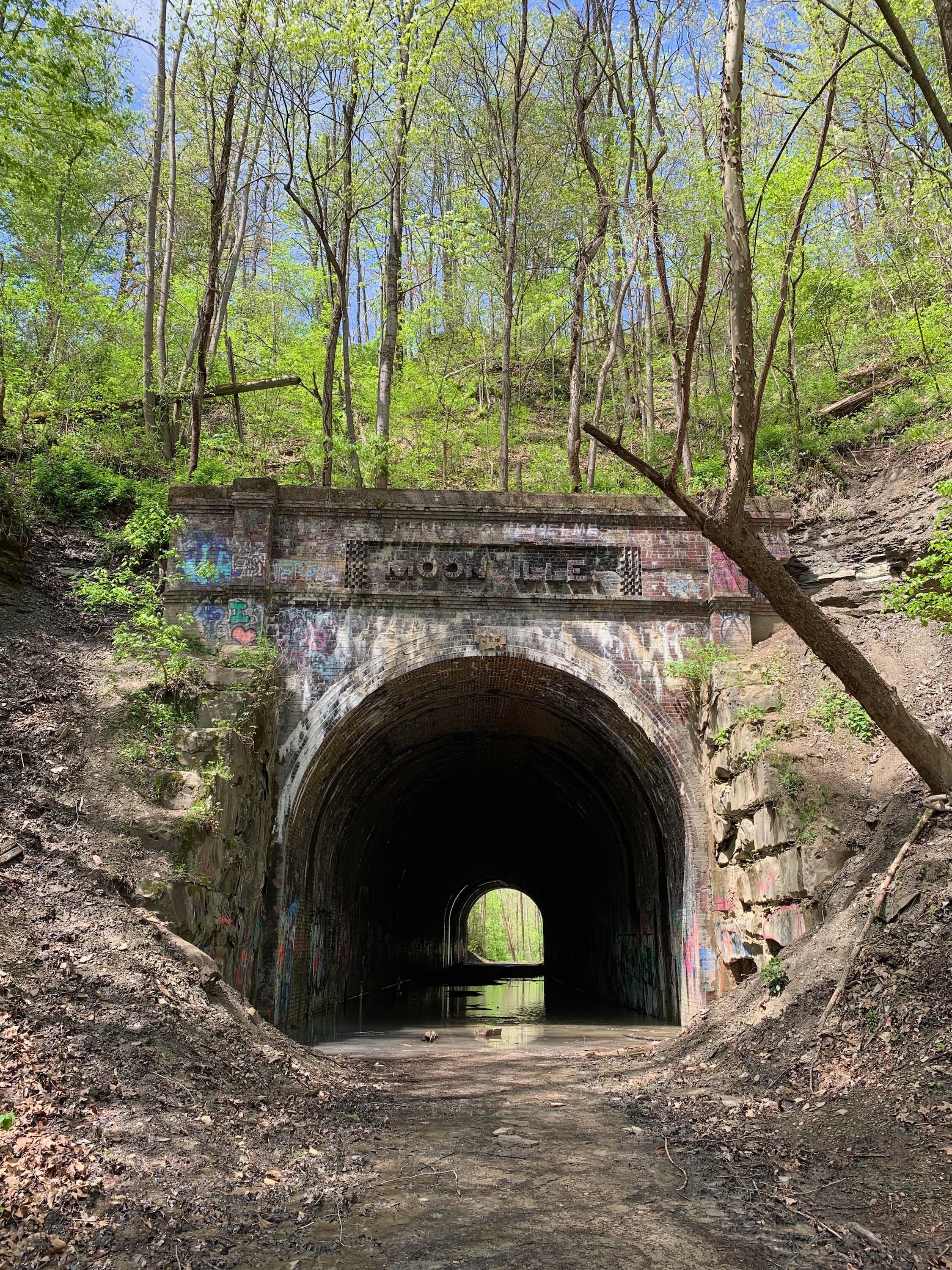 Ein Tunnel mit Graffiti an den Wänden, umgeben von Bäumen und Vegetation.
