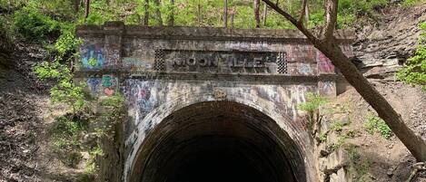 Ein Tunnel mit Graffiti an den Wänden, umgeben von Bäumen und Vegetation.