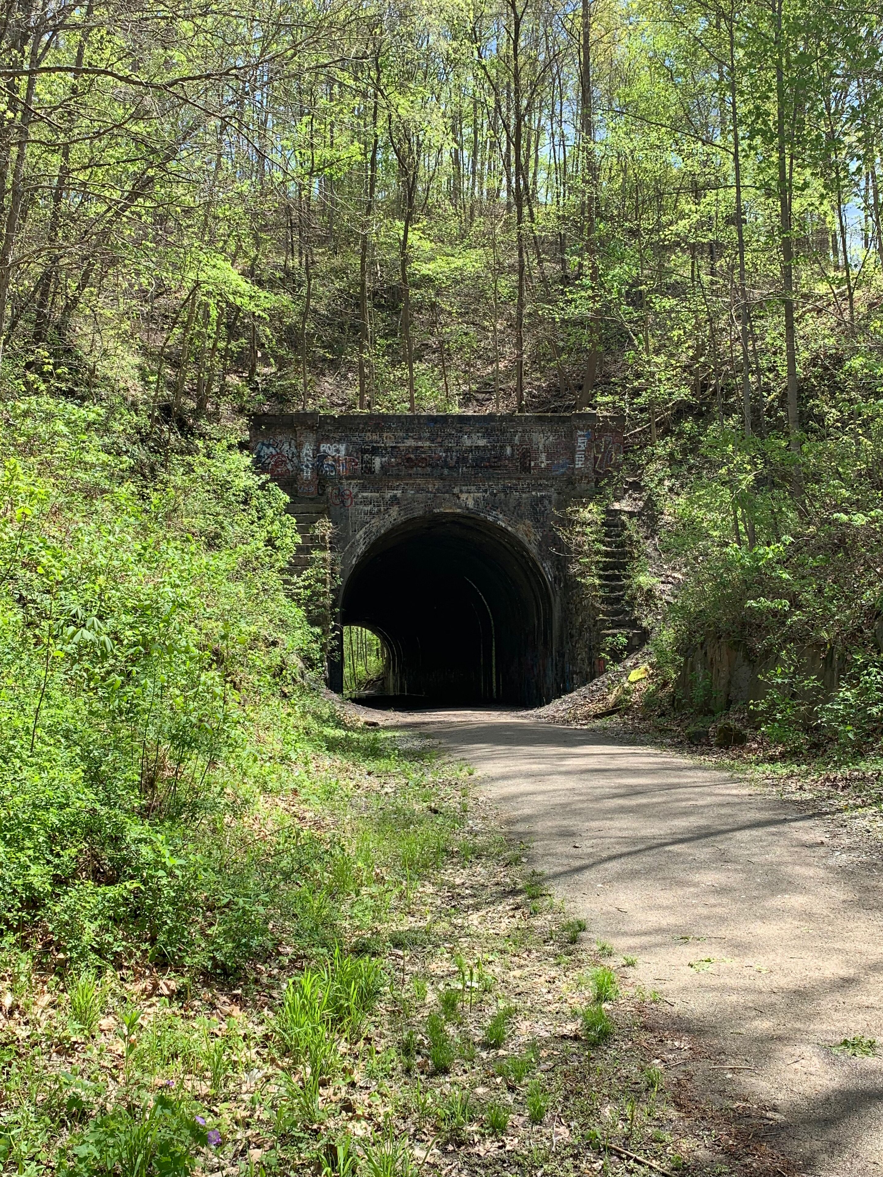 A stone bridge with a tunnel entrance surrounded by dense greenery.