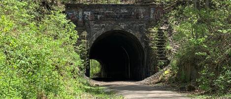 A stone bridge with a tunnel entrance surrounded by dense greenery.