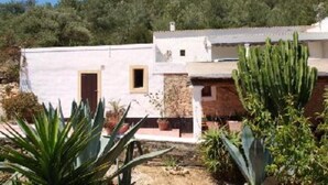 A white building with a stone wall, a door, and windows. There is a cactus in the foreground. - Country holiday home - San jose (sant Josep de sa Talaia)