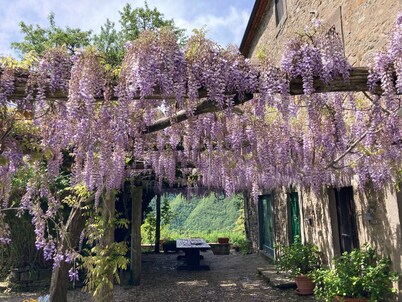 beautiful tuscan villa with pool, ideal for groups