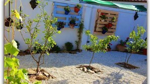 Un jardín con plantas en macetas sobre una pared blanca, suelo de grava y jardineras de madera.