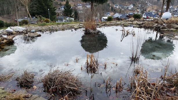 A pond with reflections, surrounded by rocks and dry vegetation.