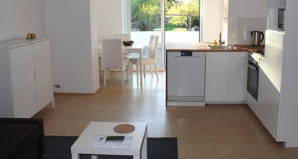 House Roy, 3 room apartment in the redeveloped house