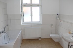 Bathtub, hair dryer, towels, toilet paper