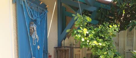 A blue door with a net, a wooden fence, and a tree in the foreground.